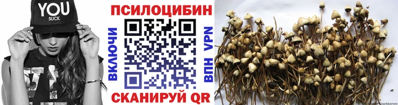 Галлюциногенные грибы Psilocybe Муравленко